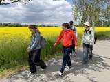 IMG_1290.JPG